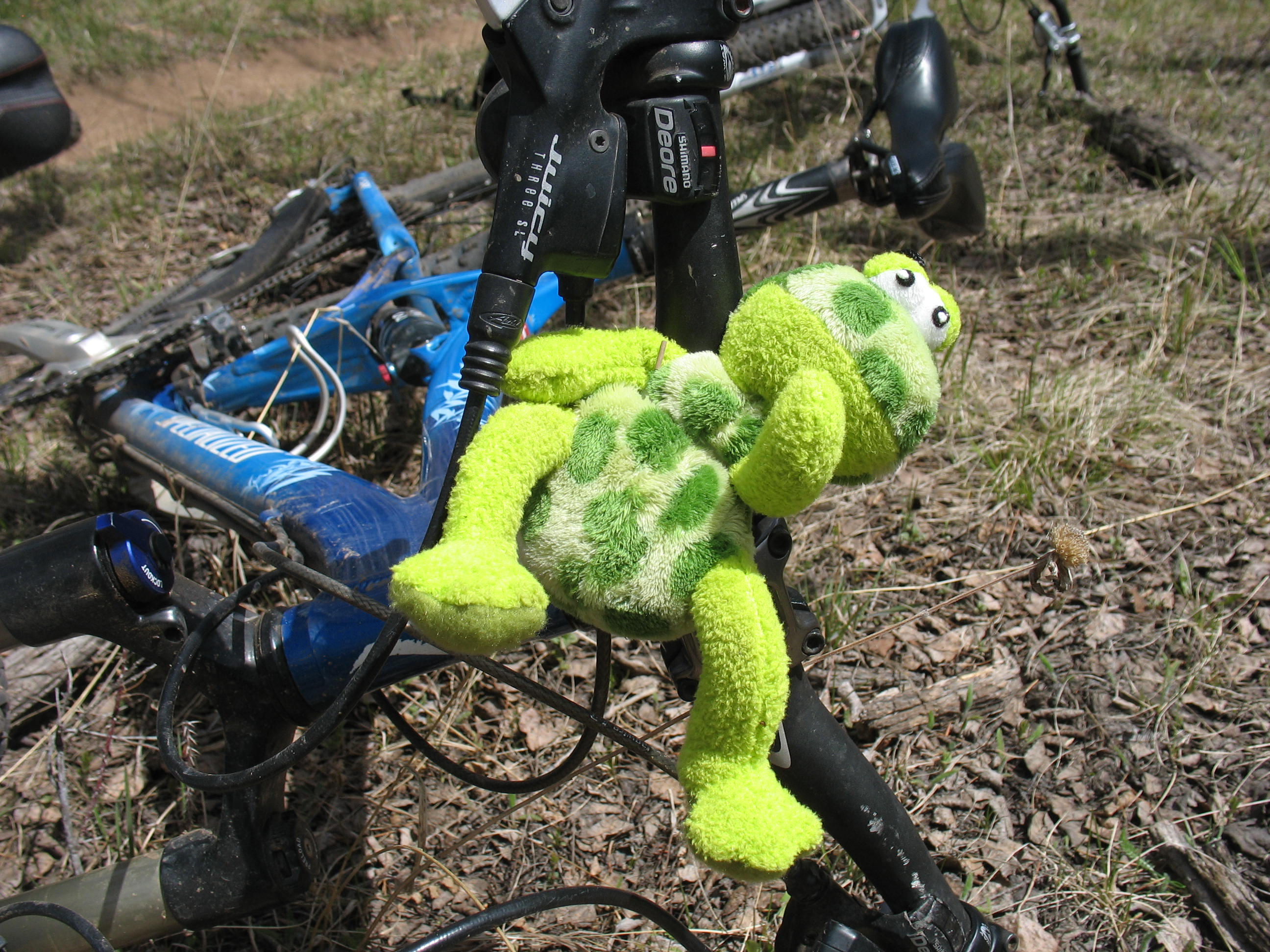 Bring on the Bicycle Bling Bicycle Colorado