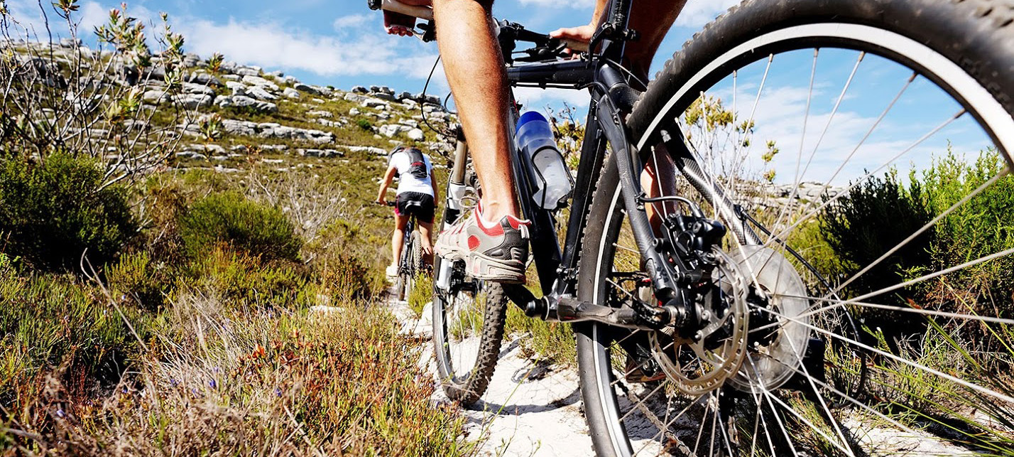 Two people ride on a mountain bike trail. The photo is shot from below so the back wheel of the person in back takes up much of the foreground. They are riding away from the camera.