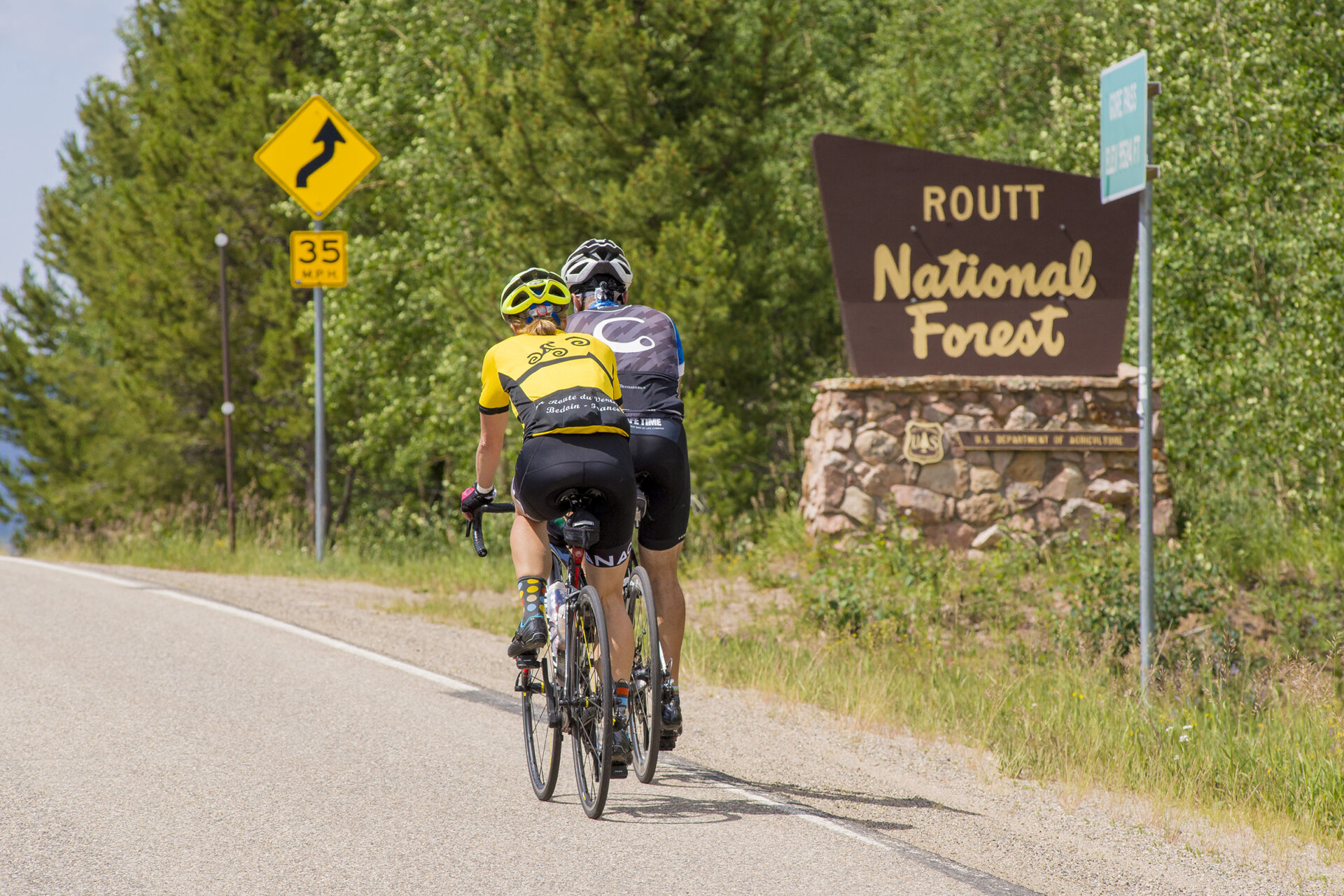 riding through beautiful Routt National Forest at Tour de Steamboat