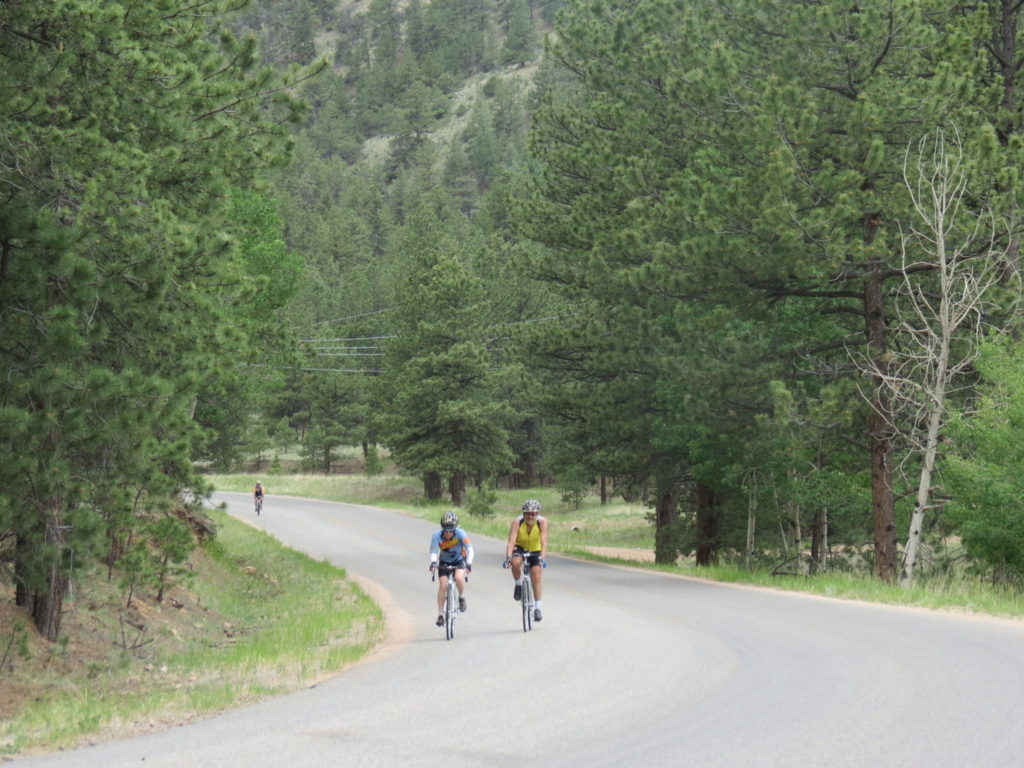Century Experience Ride - ride through the trees