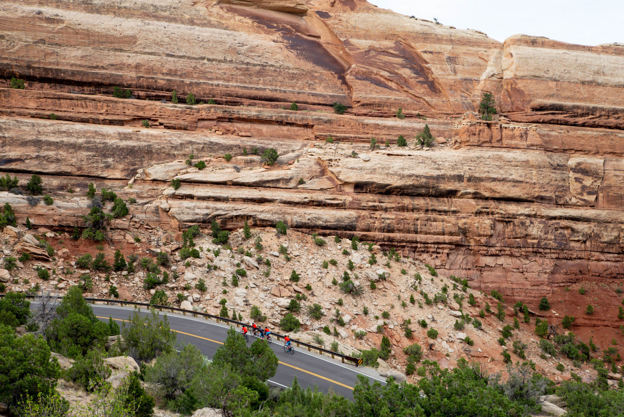 A photo of a road traveling through red rock cliffs at the Colorado National Monument.