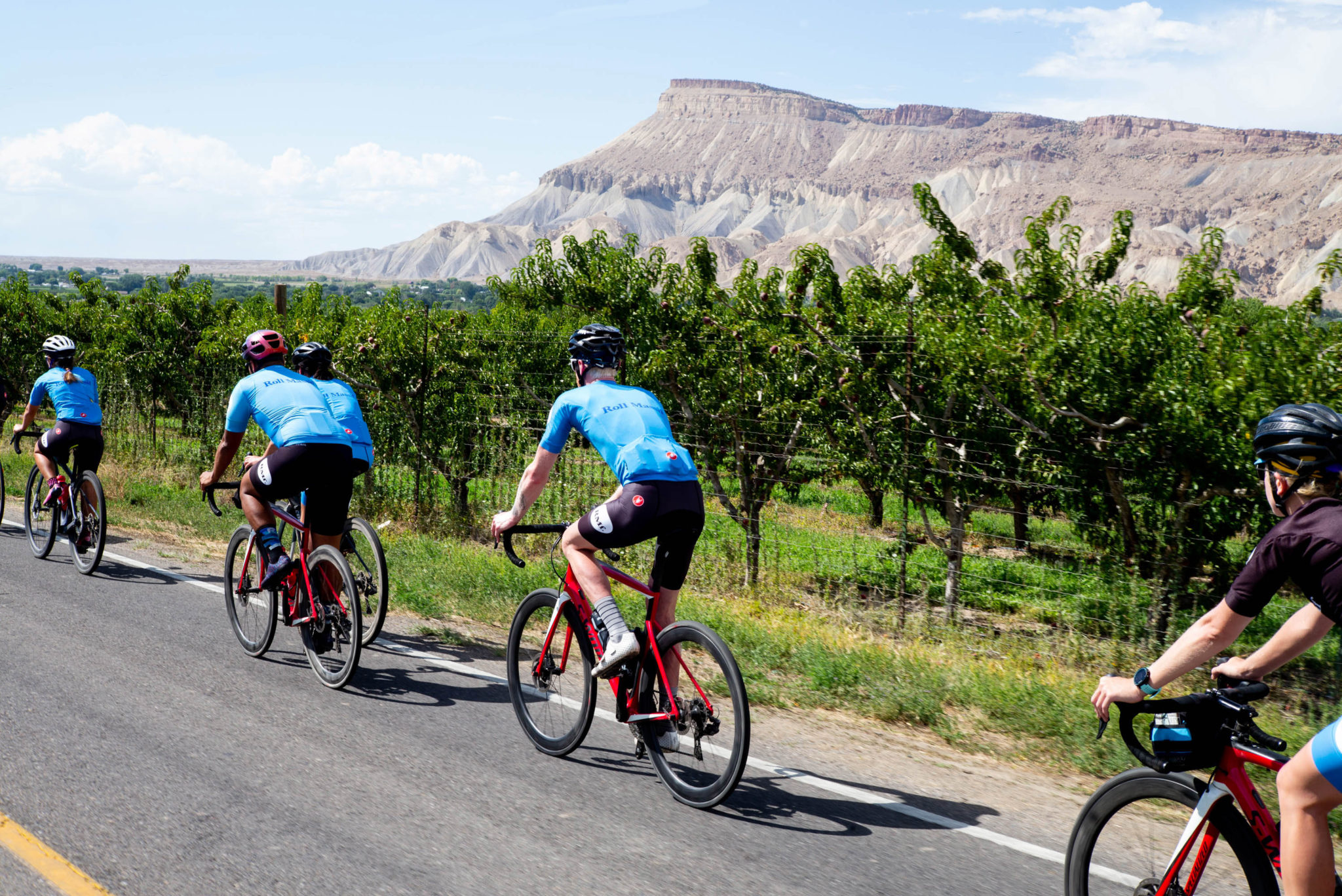 People riding bikes on a paved road alongside a vineyard with the Book Cliffs in the background.