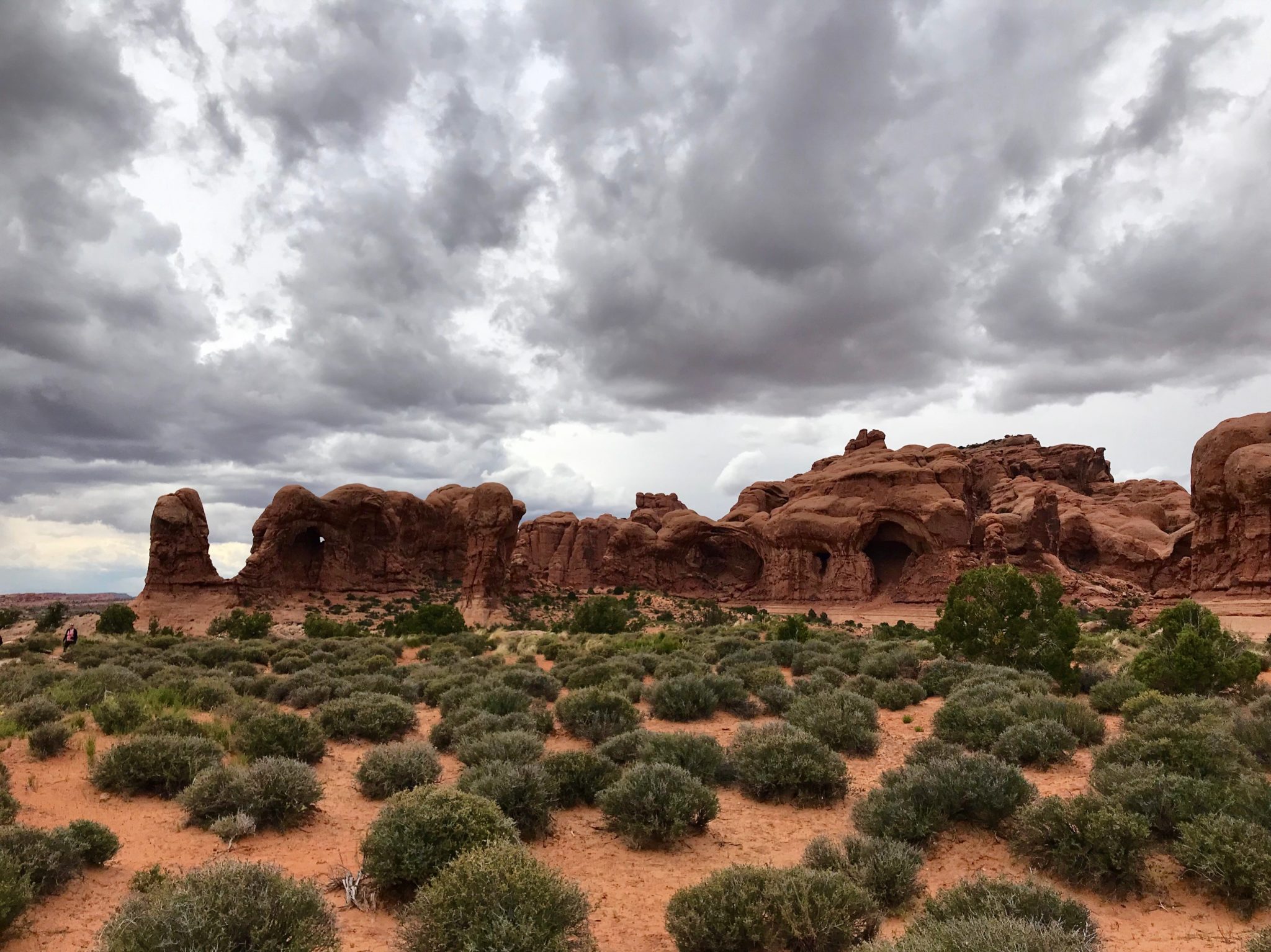 Sage and brush landscape with wind-carved rock formations in the background.