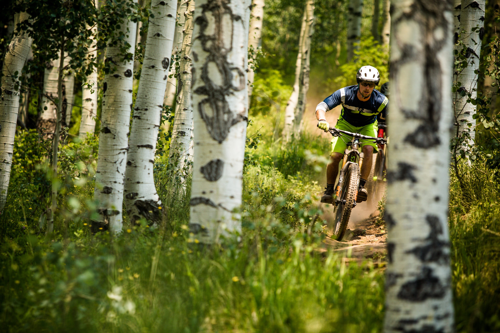 A person rides a mountain bike on a singletrack trail toward the camera. They are surrounded by aspen trees.