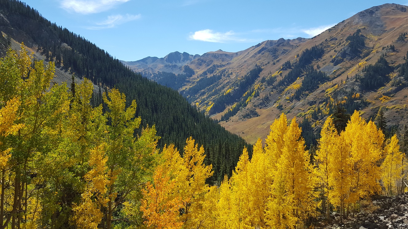 Yellow aspens in the foreground and a mountain valley in the background.
