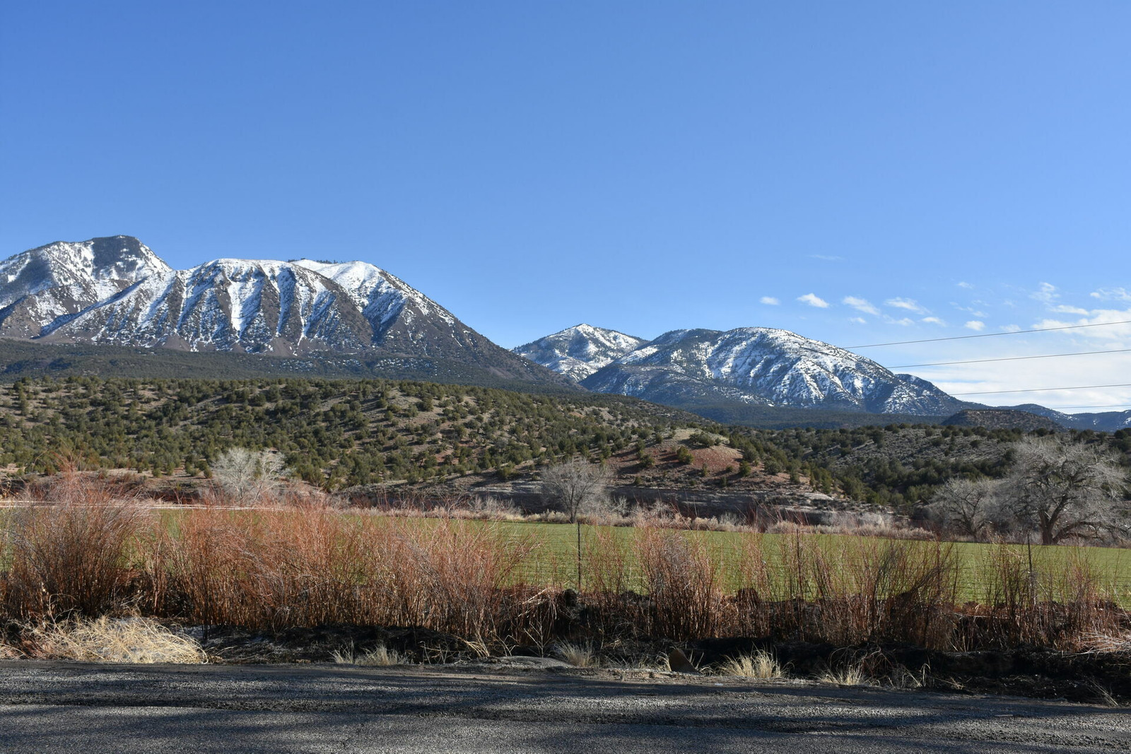 A field with snow-capped mountains in the background.