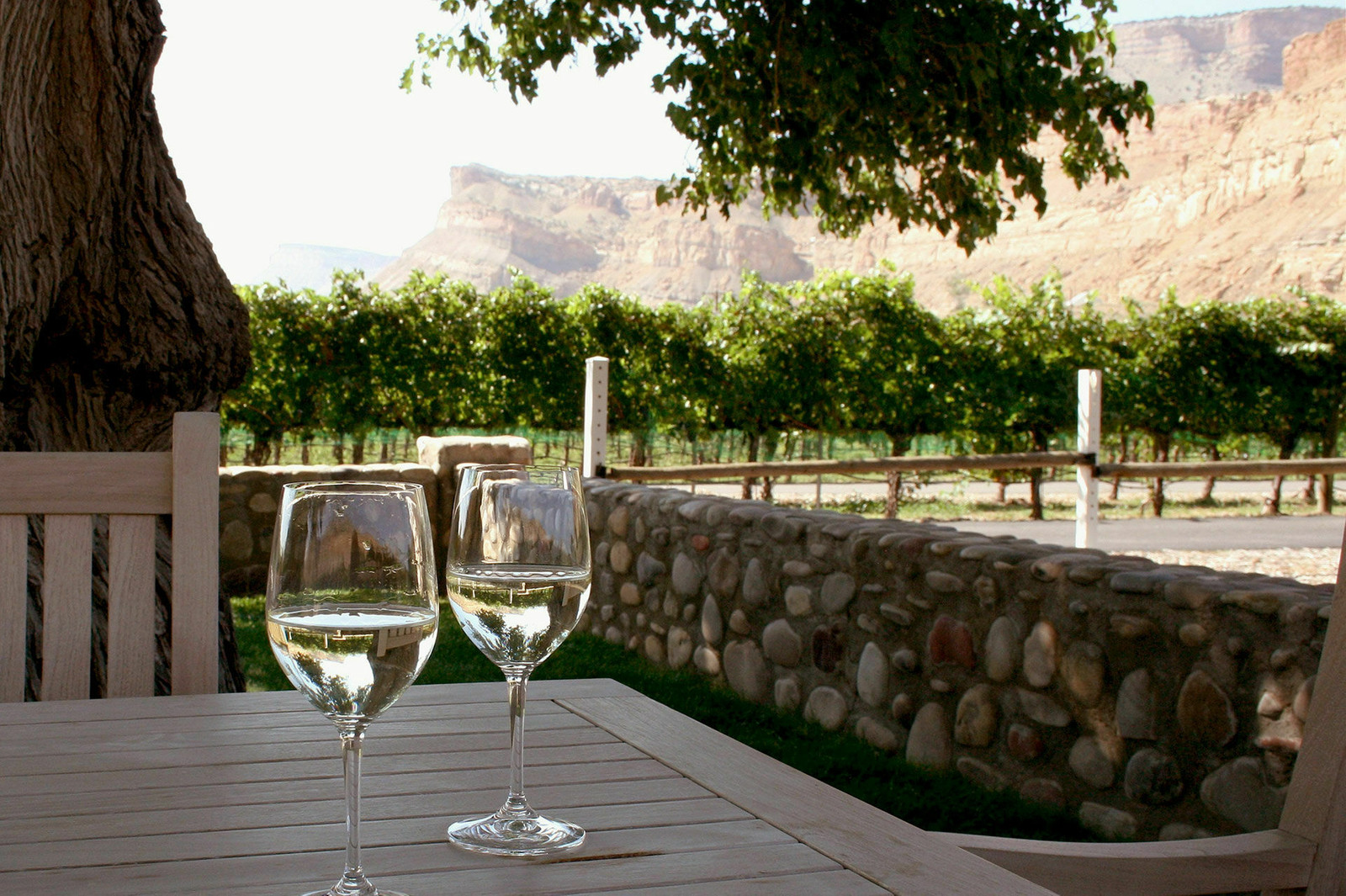 Two glasses of wine on a wooden table. In the background is an orchard and in the far background are tall cliffs.