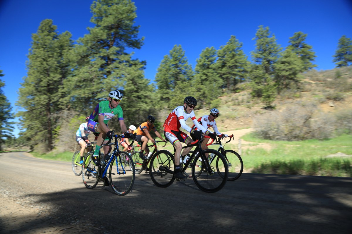 A group of bicyclists riding on a paved road with dirt on it, with a hillside covered in pine trees and shrubs next to them.